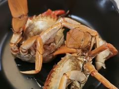 -莲花公园煎蟹(总店)