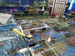 -明记海鲜大排档(巽寮湾店)