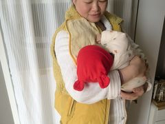 -田螺阿姨自营月嫂·育儿嫂(高新店)