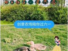 -前小桔亲子创意农场·草莓采摘·露营烧烤