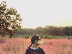 -艾溪湖湿地公园