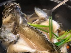 -ZF Seafood Restaurant 卓峰海鲜餐
