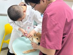 -宠福鑫康馨动物医院·骨科·眼科