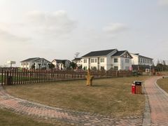 -明珠湖天鹅苑·农家菜馆