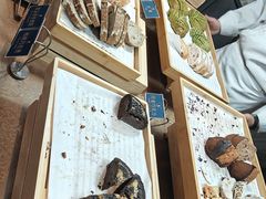 -金狮国际酒店自助餐(金狮店)