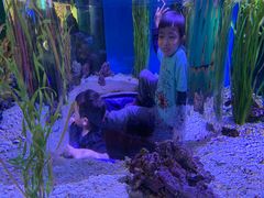 -瑞普利水族馆