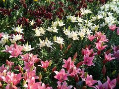 -长春公园(普阳街道)