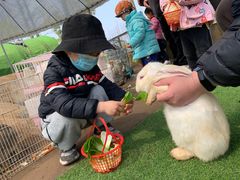 -前小桔亲子创意农场·草莓采摘·露营烧烤