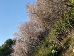 -共青国家森林公园-售票处