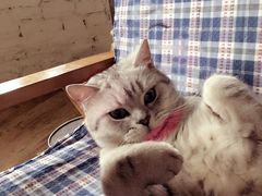 -不舍昼夜咖啡馆