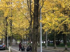 -四川大学(望江校区)