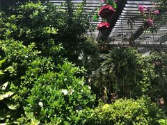 -The Grounds of Alexandria