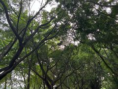-南宁南湖公园