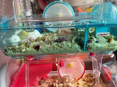 -龙猫仔乐园(惠福东路店)