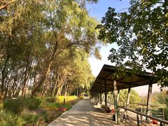 -西湖风景区-江洋畈生态公园