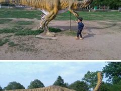 -祥源·阜阳生态乐园