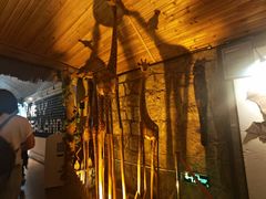 -青岛葡萄酒博物馆