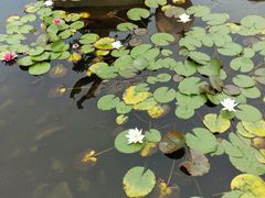-白马涧龙池景区