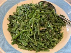 清炒瓜尖-熙楼(翠湖店)