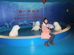 -蓬莱欧乐堡海洋极地世界