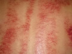 -福阳·足道养生会所(远大路店)