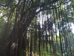 -晓港公园