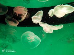 -沈阳海洋探索中心