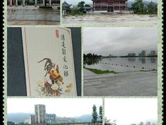 -飞来湖湿地公园