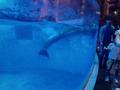 -波塞冬旅游度假区