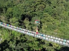 -九龙江国家森林公园