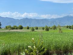 -野鸭湖国家湿地公园