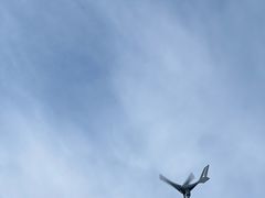-长春北湖公园