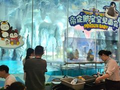 -帝企鹅自助餐厅•儿童岛•真企鹅(长隆企鹅酒店)