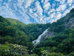 -东白山