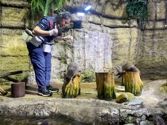 -迪拜水族馆及水下动物园