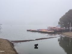 -上海海湾国家森林公园