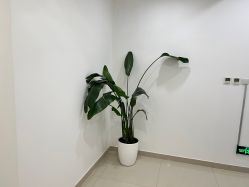 -澳尔颜选医疗美容