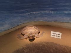 -嘉定博物馆