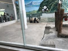-太原动物园