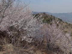 -鬼笑石后山停车场