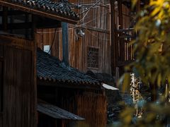 -矮寨·十八洞·德夯大峡谷景区