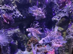 -太平洋海底世界