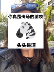 -New Fashion发型定制