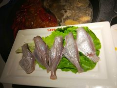 -川西坝子(老军营店)