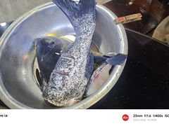 -好灶头妈妈菜·柴火灶台鱼·千岛湖土菜地标美食