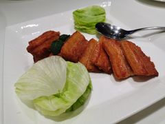 巴马小香猪-西郊壹号