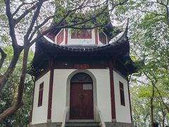 -上海佘山国家森林公园天马山园