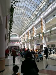 -上海交通大学医学院附属上海儿童医学中心(陆家嘴总院区)