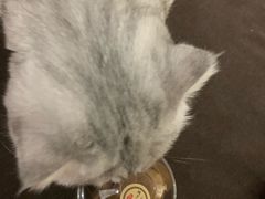 -莫朗核桃饼(虹泉路店)