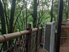 -巴倒烫陆派火锅山庄(南山总店)